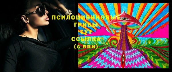 мдпв Артём